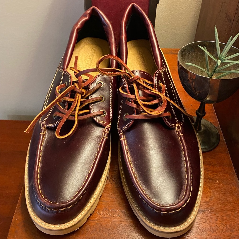 NWOT Sperry Genuine Leather Boatshoes in Mahogany/Wine | Women’s 10
